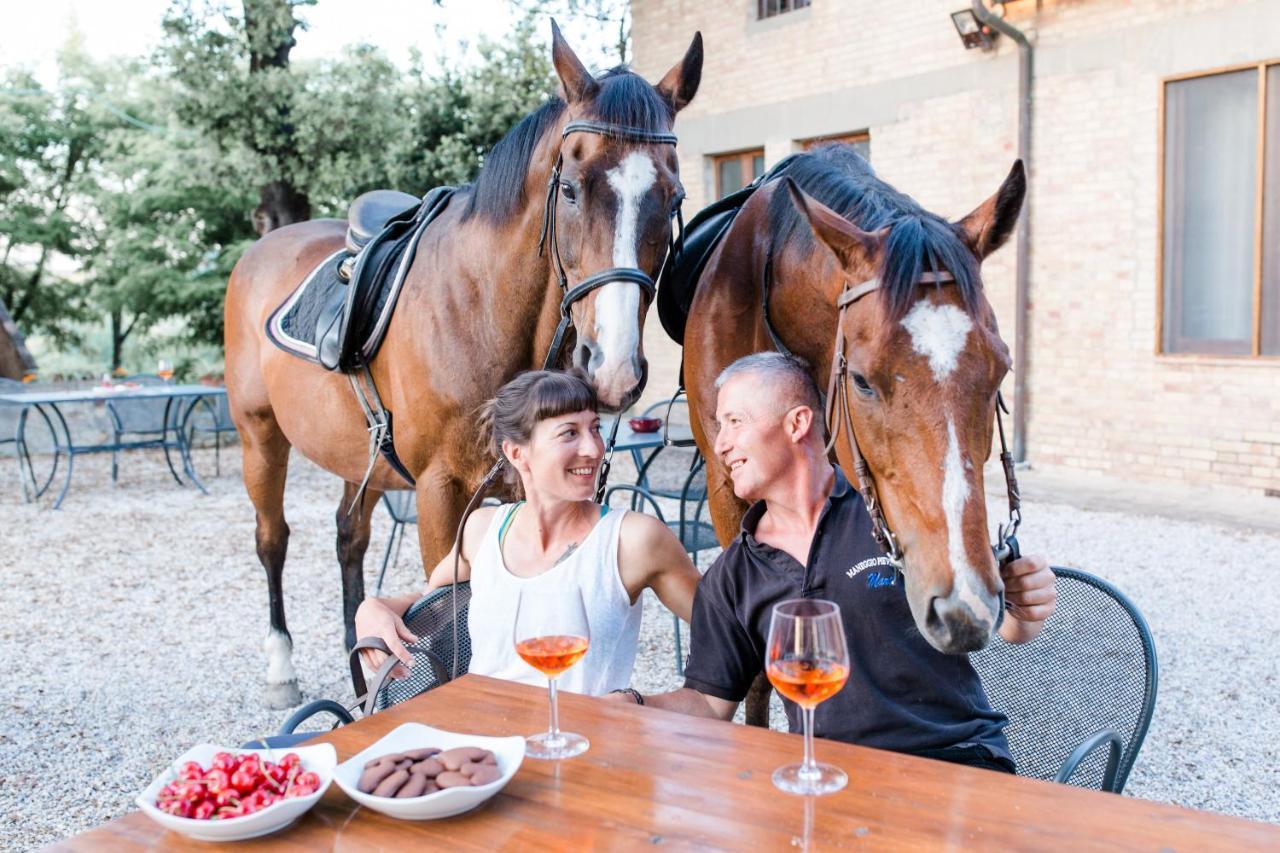 Fattoria Pieve A Salti Villa Buonconvento Ngoại thất bức ảnh