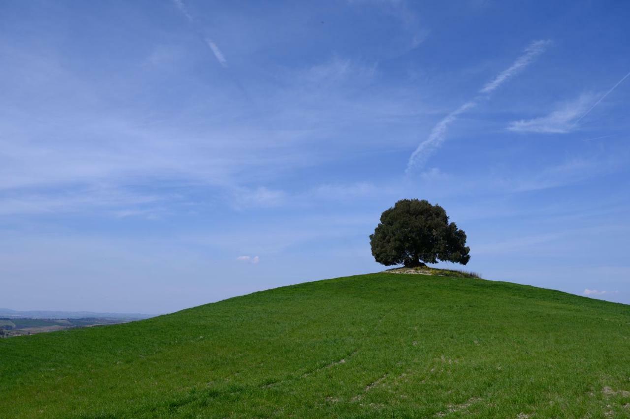 Fattoria Pieve A Salti Villa Buonconvento Ngoại thất bức ảnh