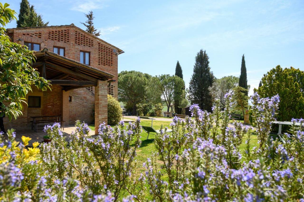 Fattoria Pieve A Salti Villa Buonconvento Ngoại thất bức ảnh