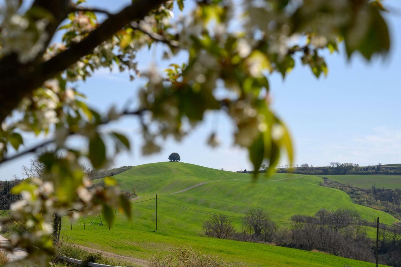 Fattoria Pieve A Salti Villa Buonconvento Ngoại thất bức ảnh