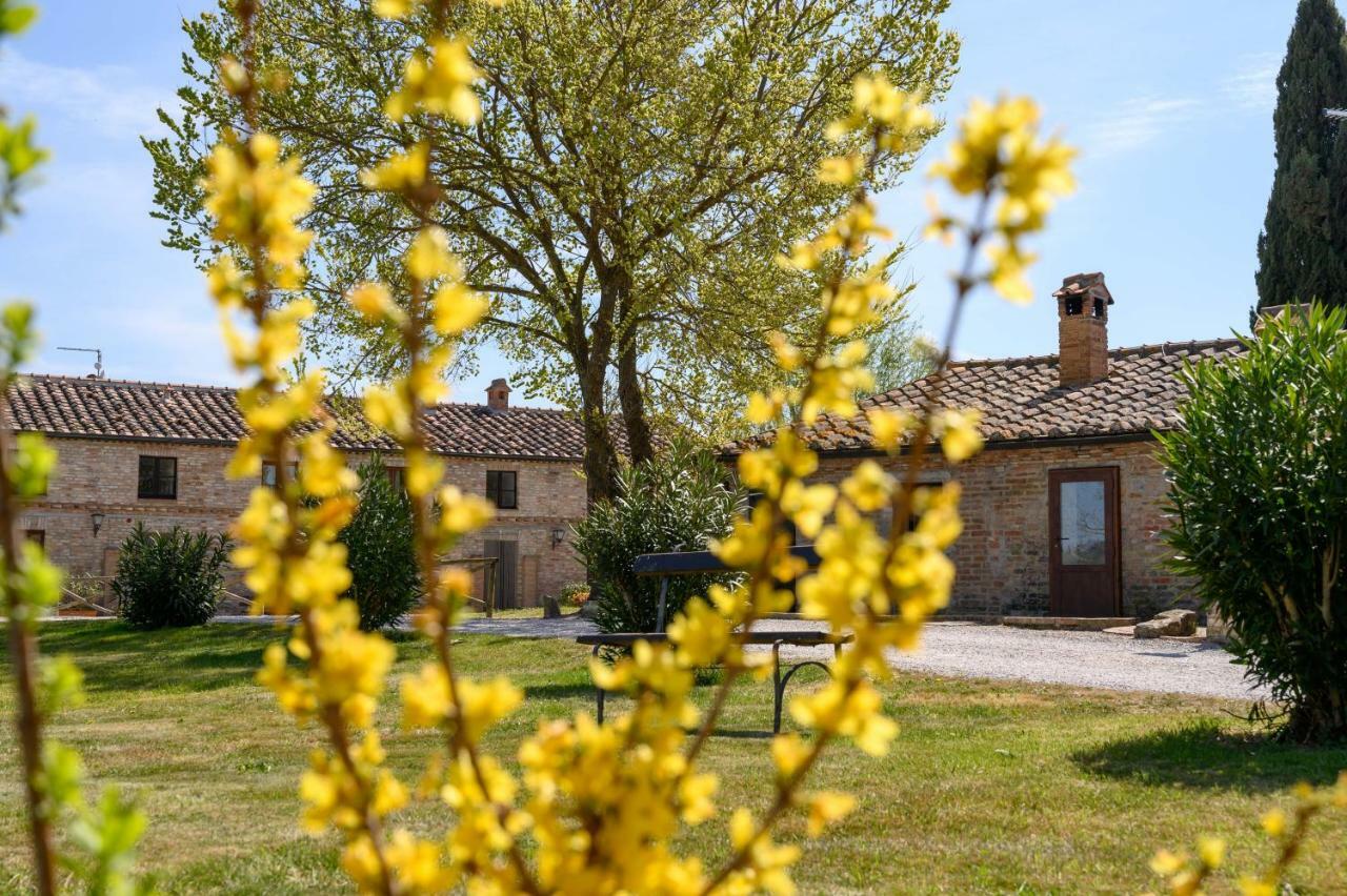 Fattoria Pieve A Salti Villa Buonconvento Ngoại thất bức ảnh